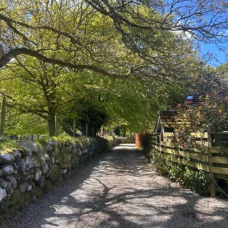 The Mews At Suzkar